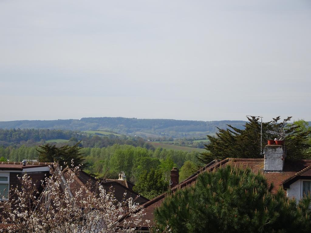 Gras Lawn B&B Exeter Extérieur photo